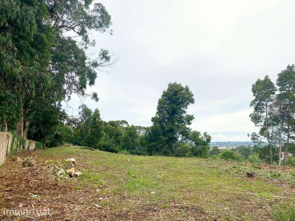 Terreno destinado a construção com 8.385m², situado no centro da vi... - Grande imagem: 3/12