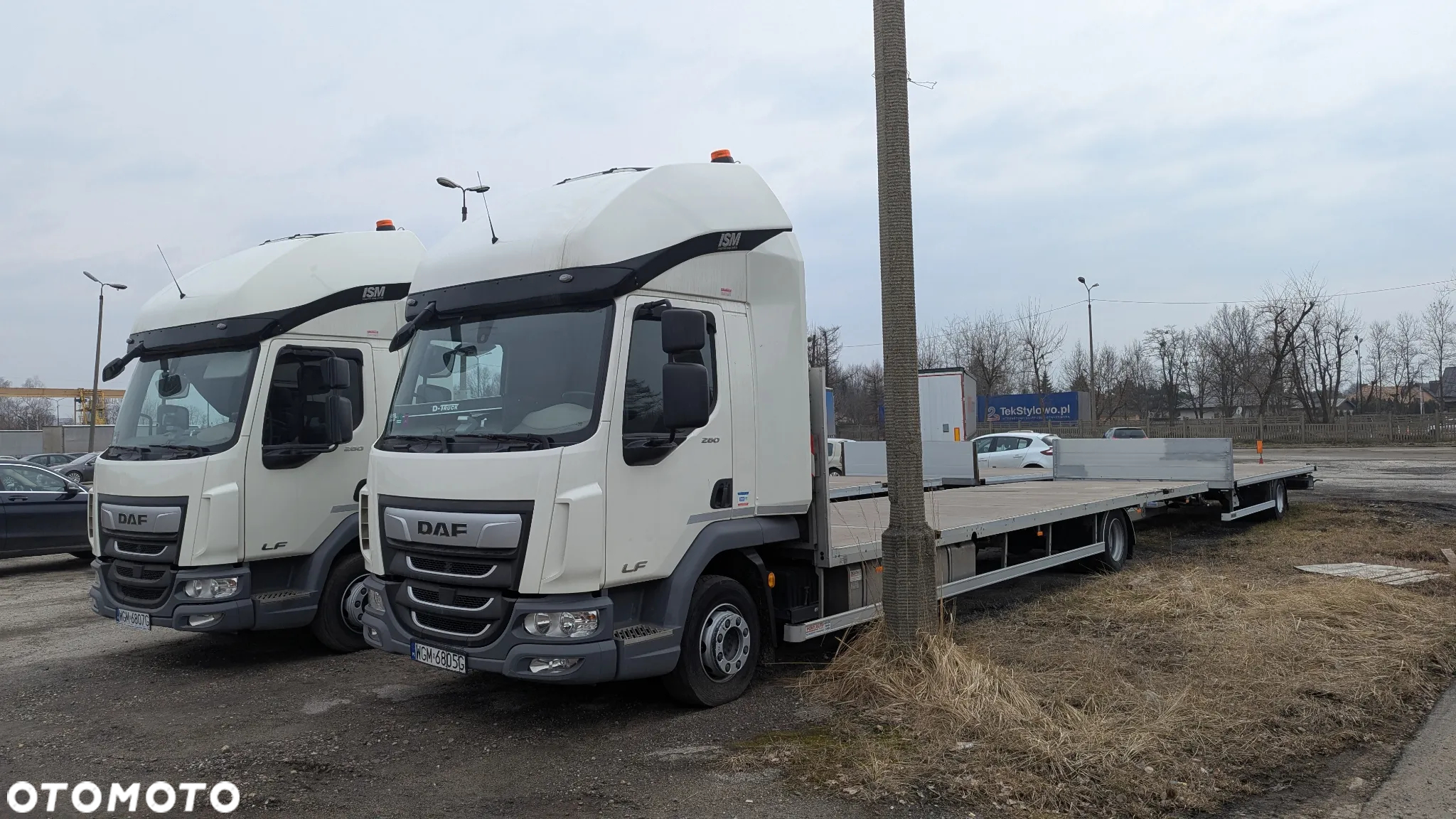 DAF LF 260 - 37