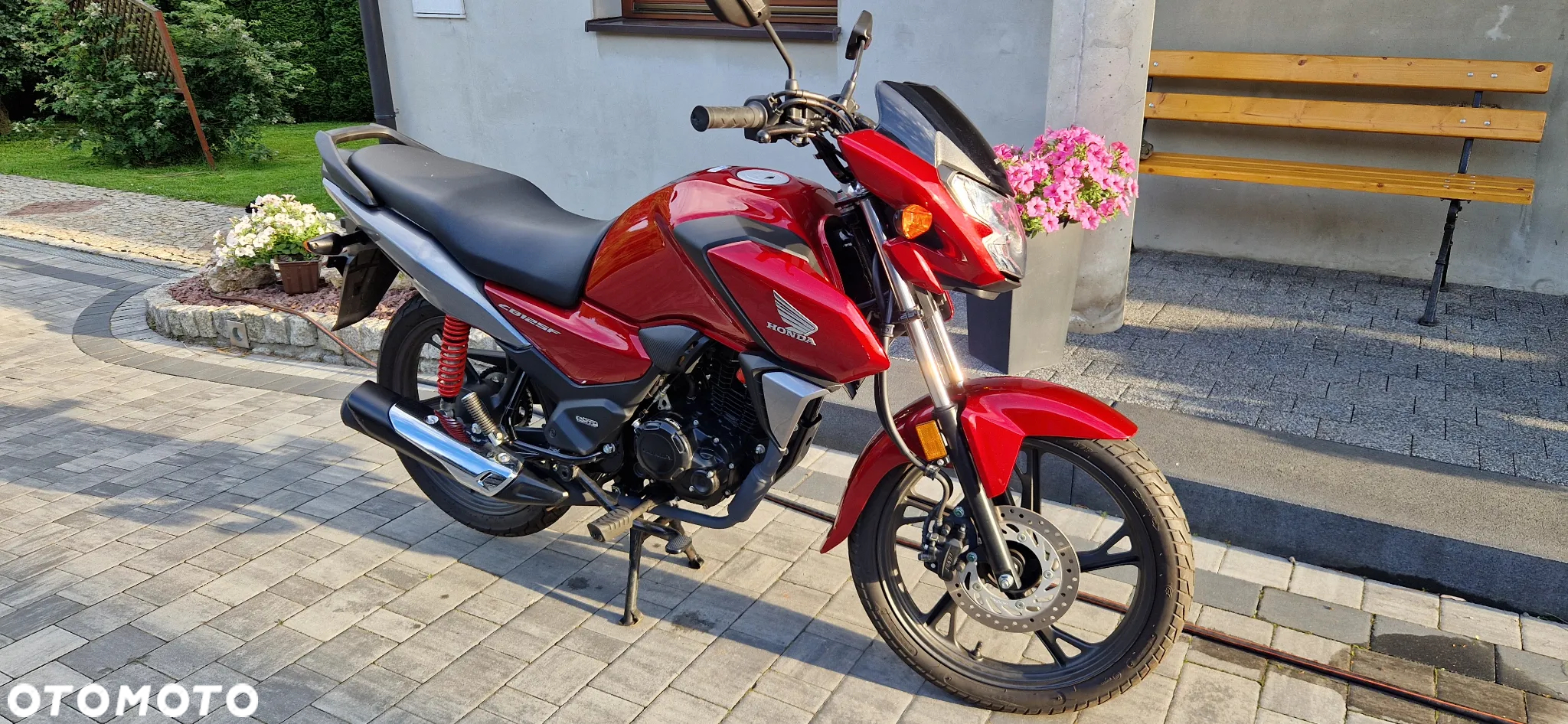 Honda CBF - 17