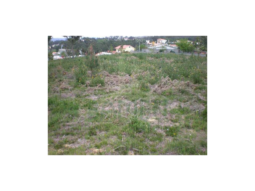 Terreno com vista de Rio em Seixas para venda. - Grande imagem: 2/7