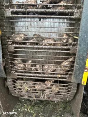 Inny Kombajn buraczny ROPA 2008r - 27