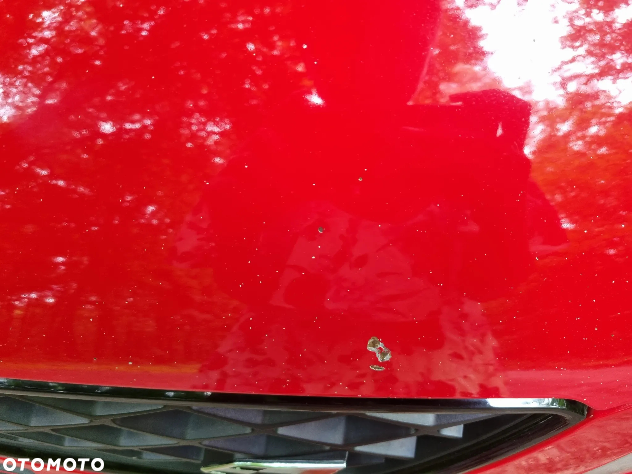 Seat Leon 2.0 TSI Cupra S&S DSG - 17