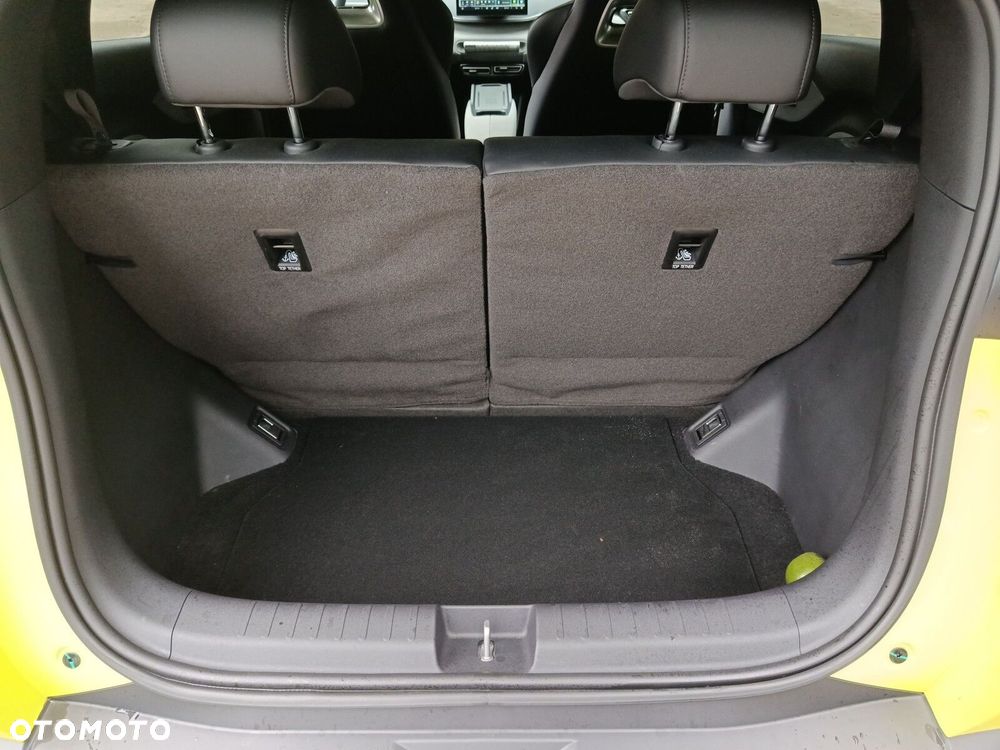 BYD Dolphin Surf - 19