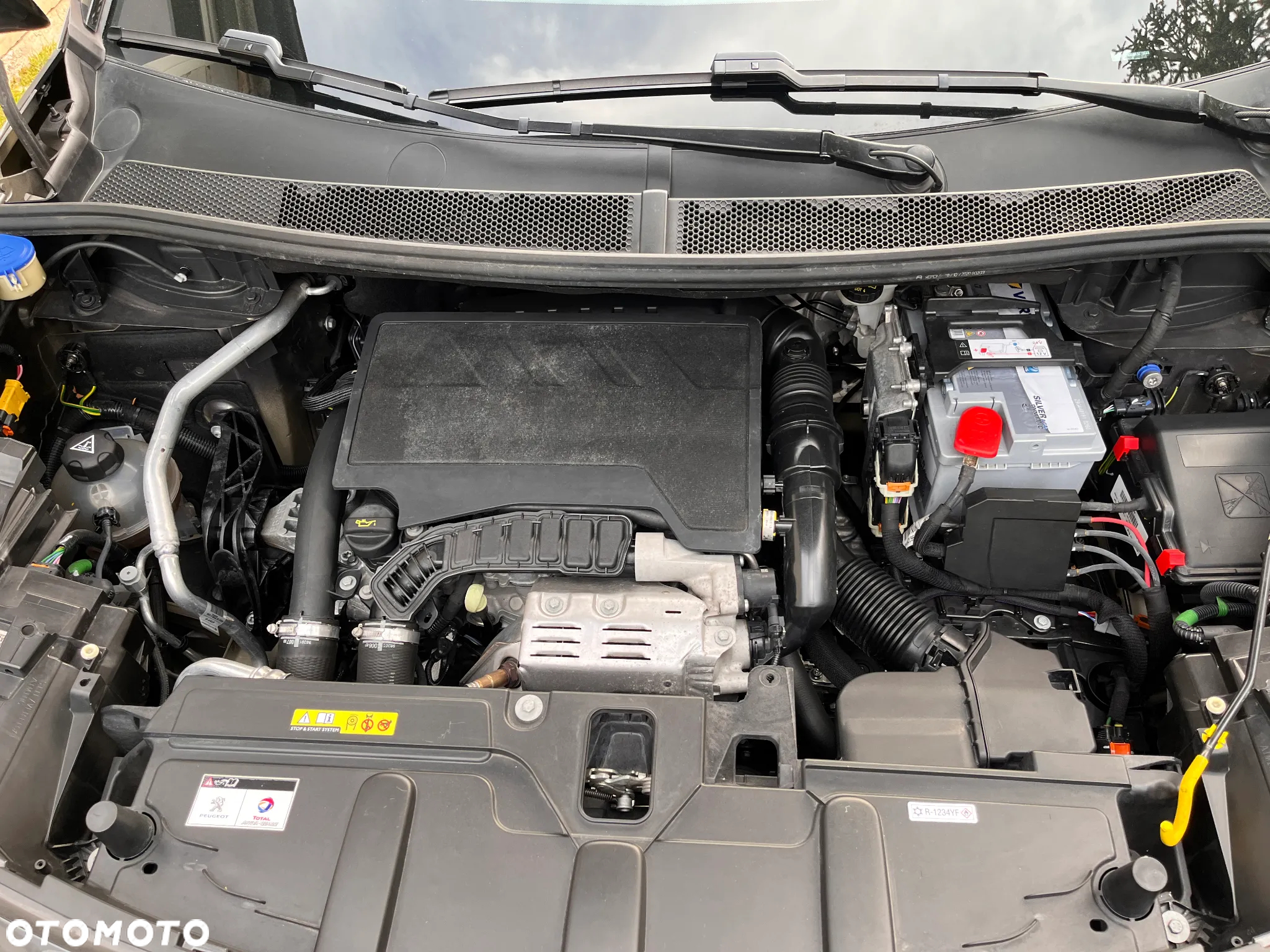 Peugeot 3008 PureTech 130 Stop & Start GPF EAT8 Active Business-Paket - 9