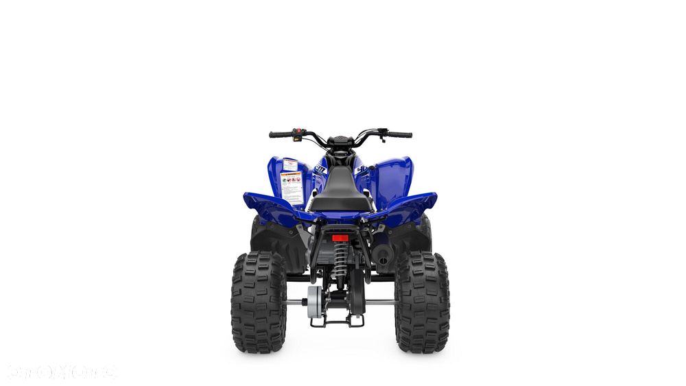 Yamaha Raptor - 9
