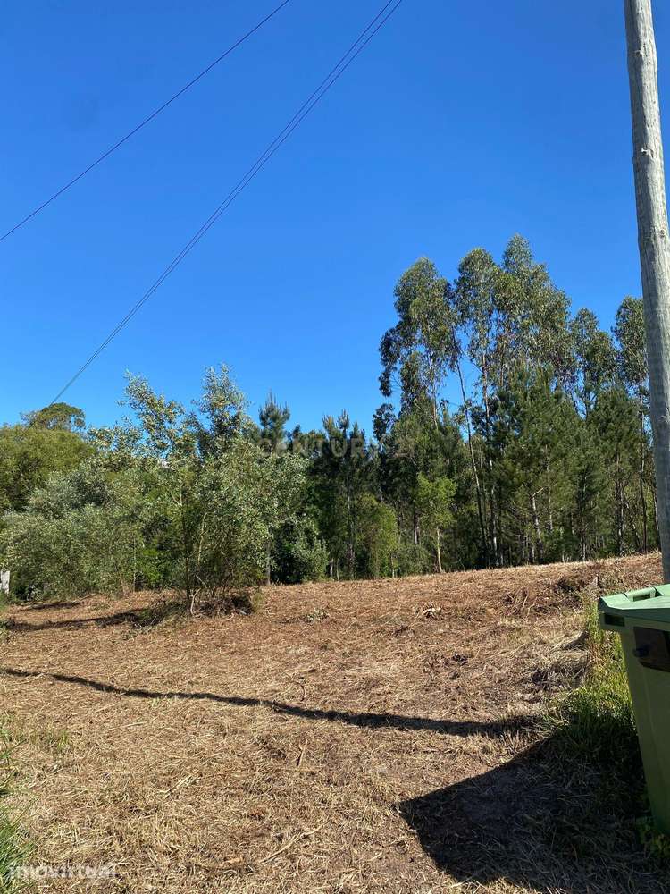 Terreno para construção em Castanheira de Alcobaça - Grande imagem: 4/5