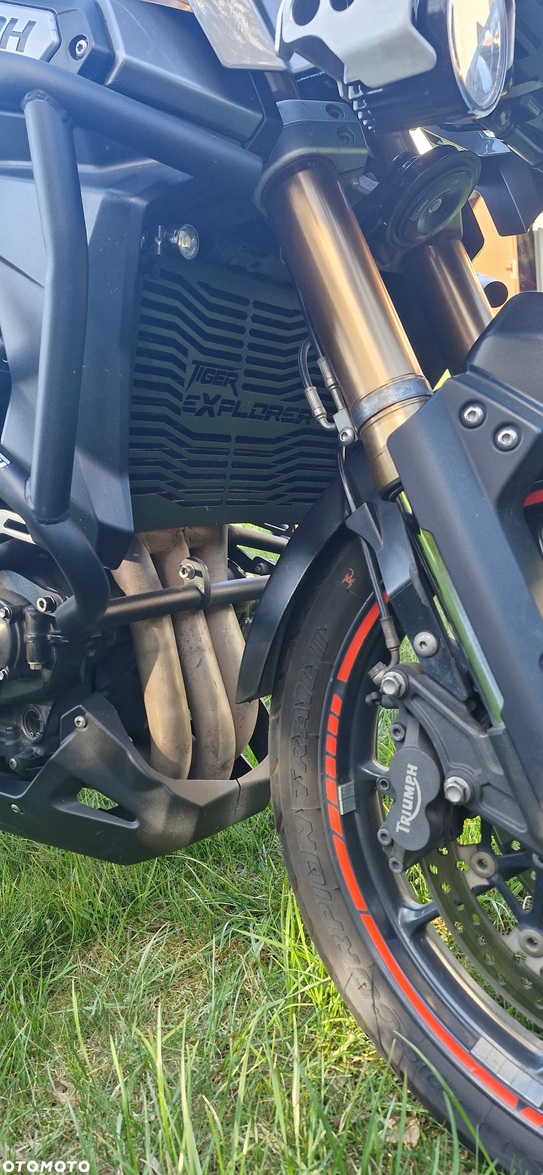 Triumph Tiger - 5