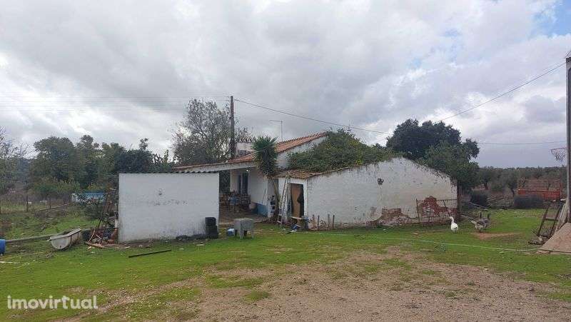 Rústico c/ Habitação e dependências - Alcôrrego | AVIS - Grande imagem: 3/9