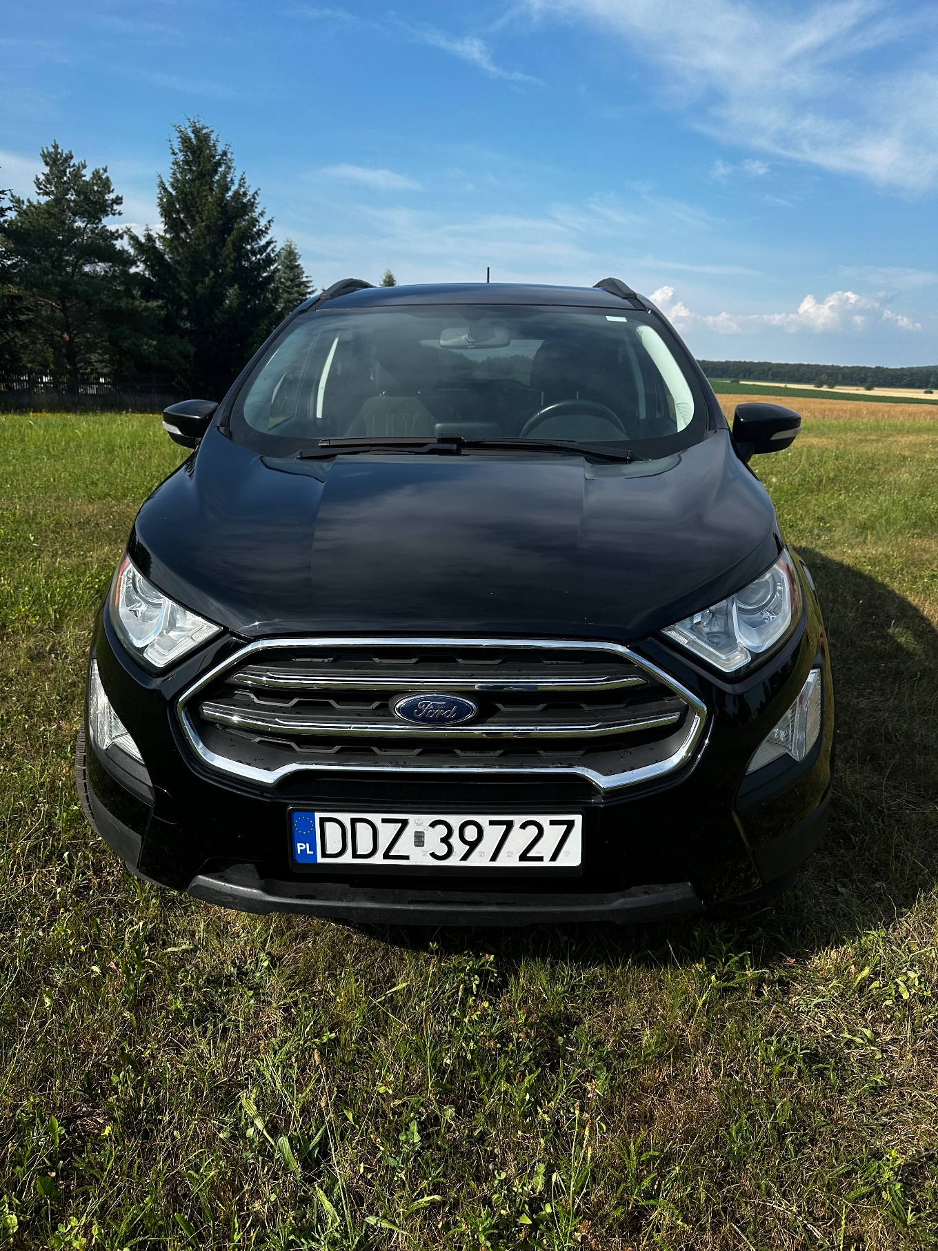 Ford EcoSport 1.0 EcoBoost TITANIUM - 7