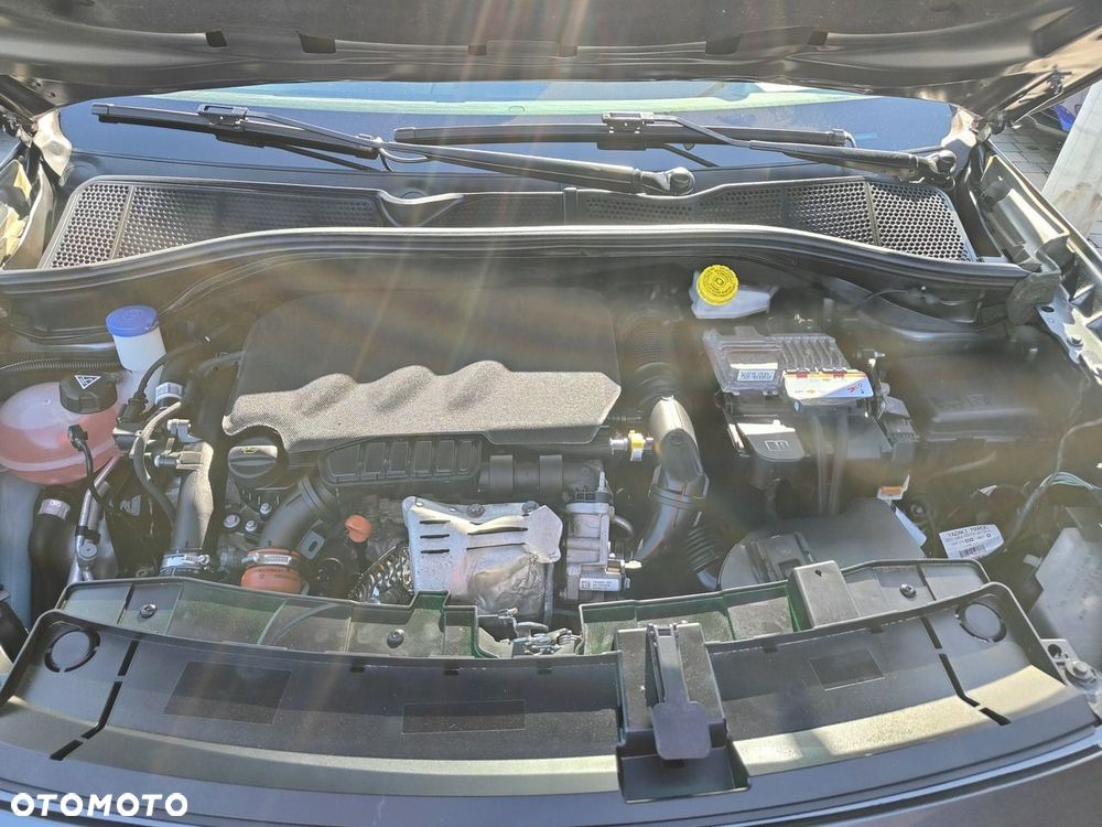 Citroën C4 Cactus - 30