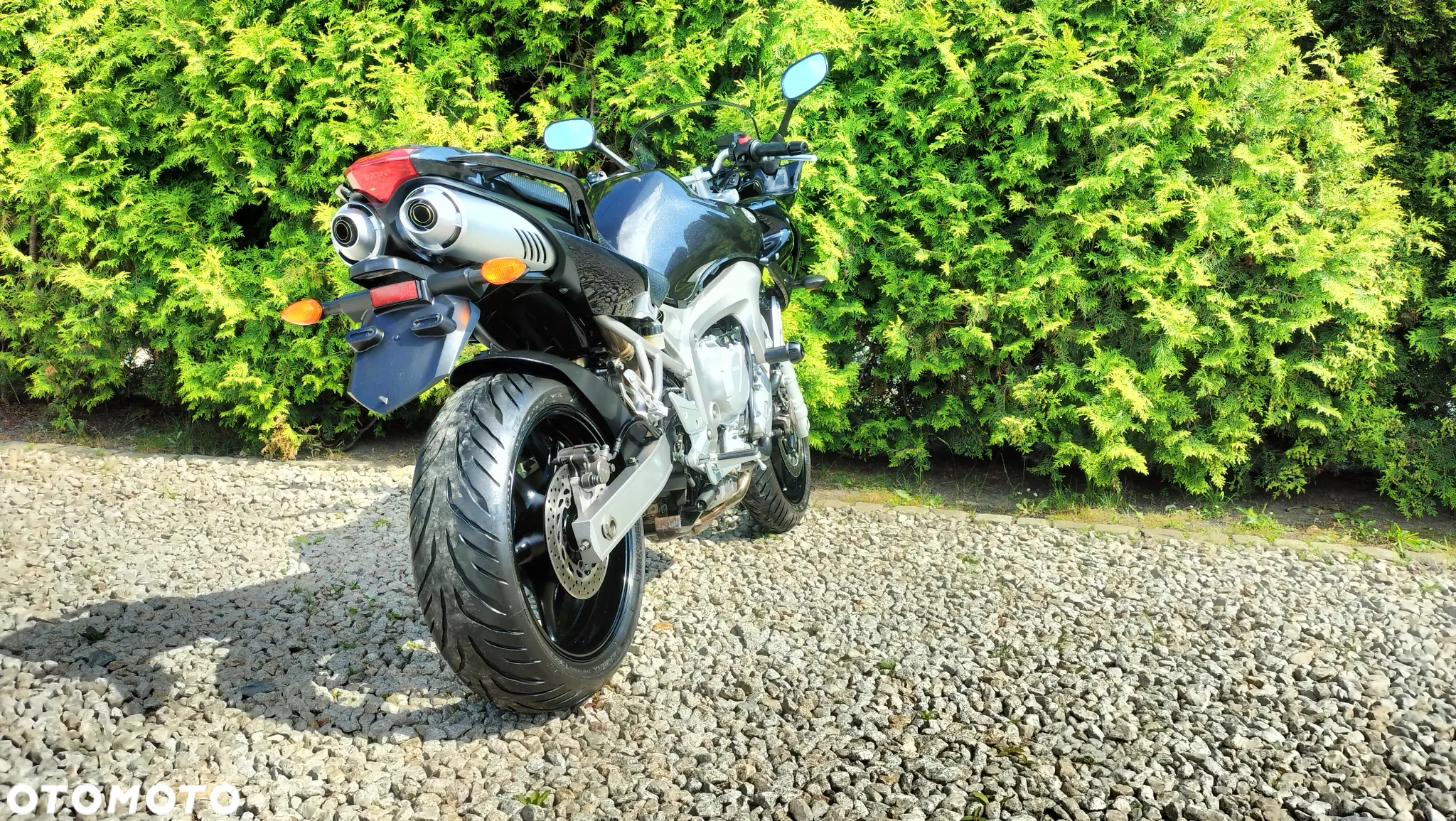 Yamaha FZ6 - 7