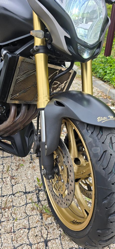 Honda Hornet 600 R édition special Rizzoma - 5