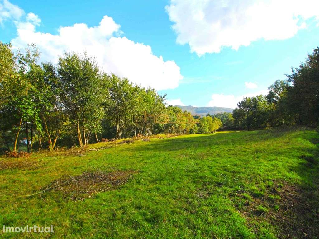 Terreno Vista para o rio Douro - Grande imagem: 3/12