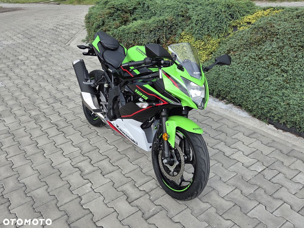 Kawasaki Ninja - 10