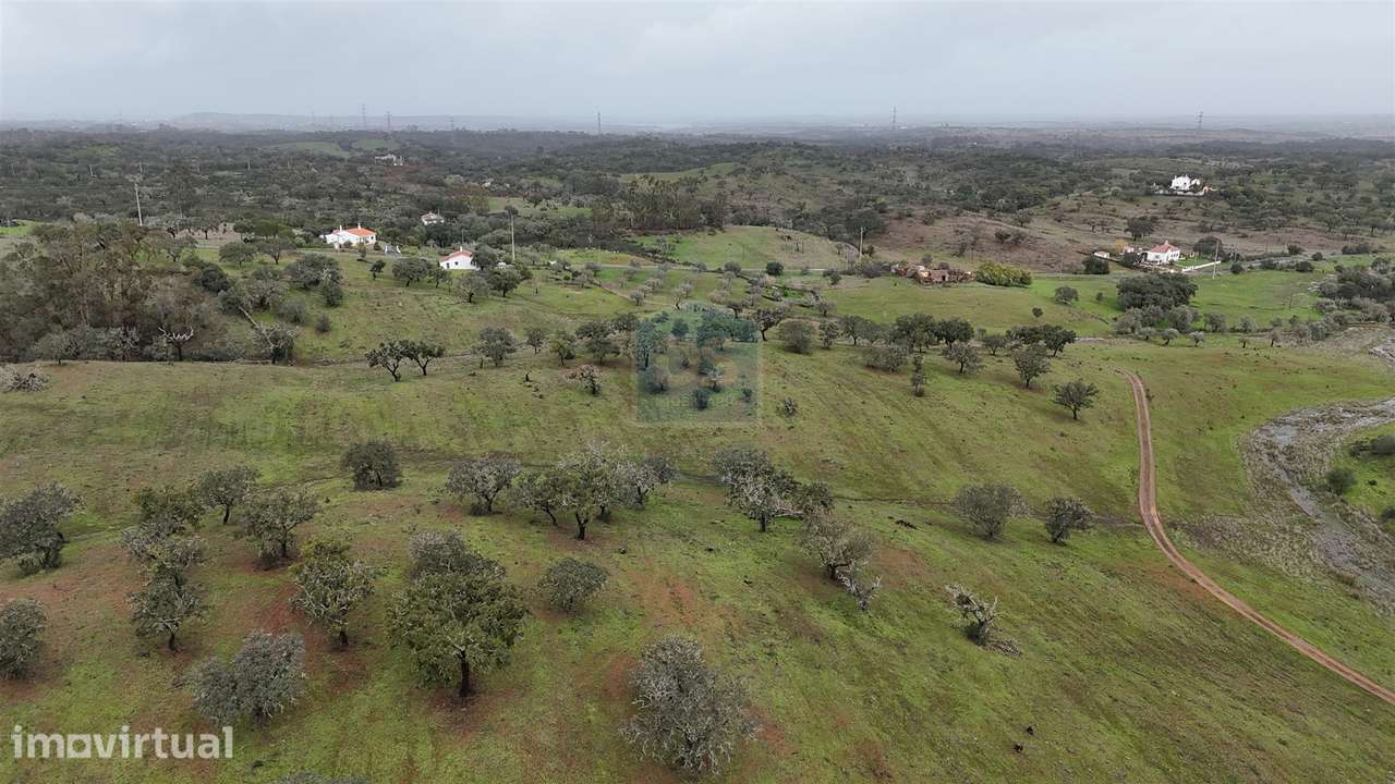 Terreno Misto T4 Venda em Ourique,Ourique - Grande imagem: 4/31