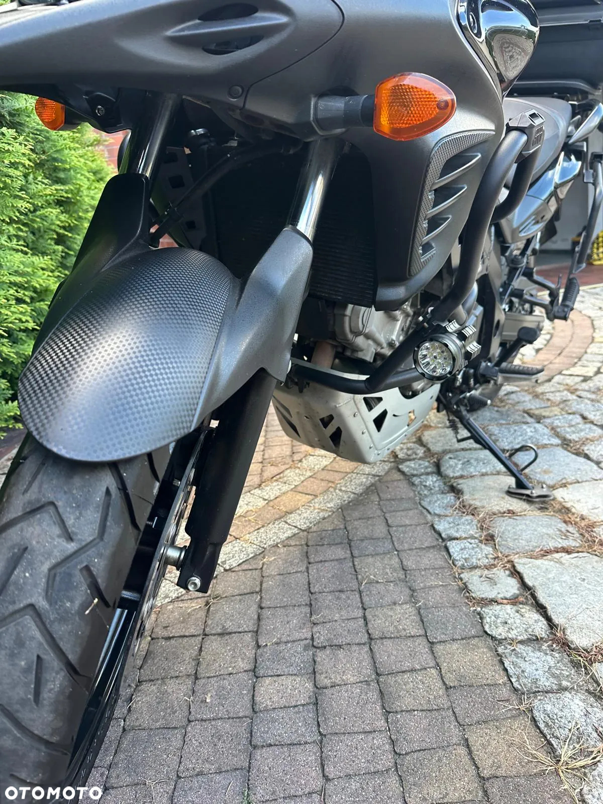 Suzuki DL - 8