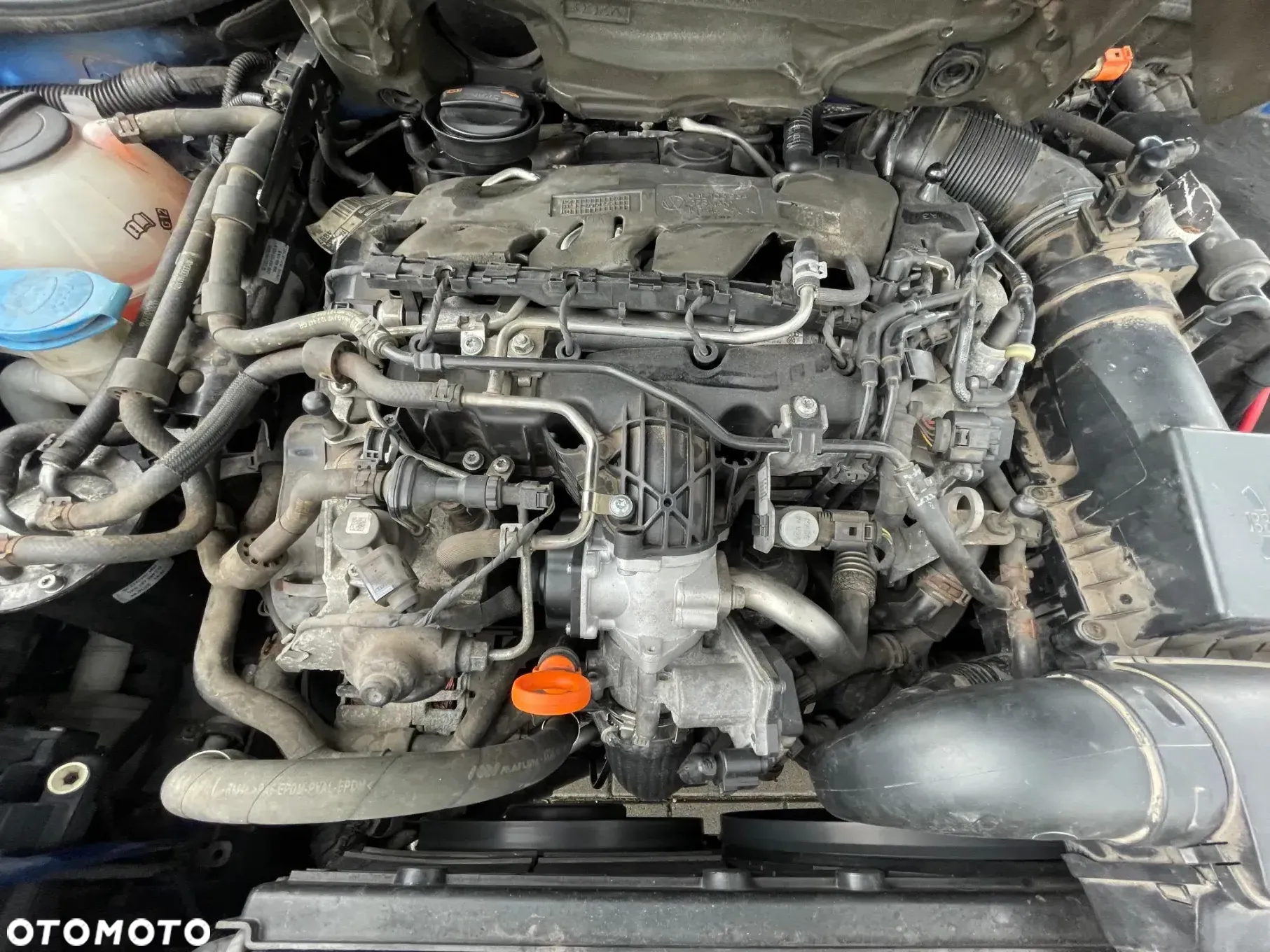 Skoda Octavia Combi 2.0 TDI CR DPF RS - 37