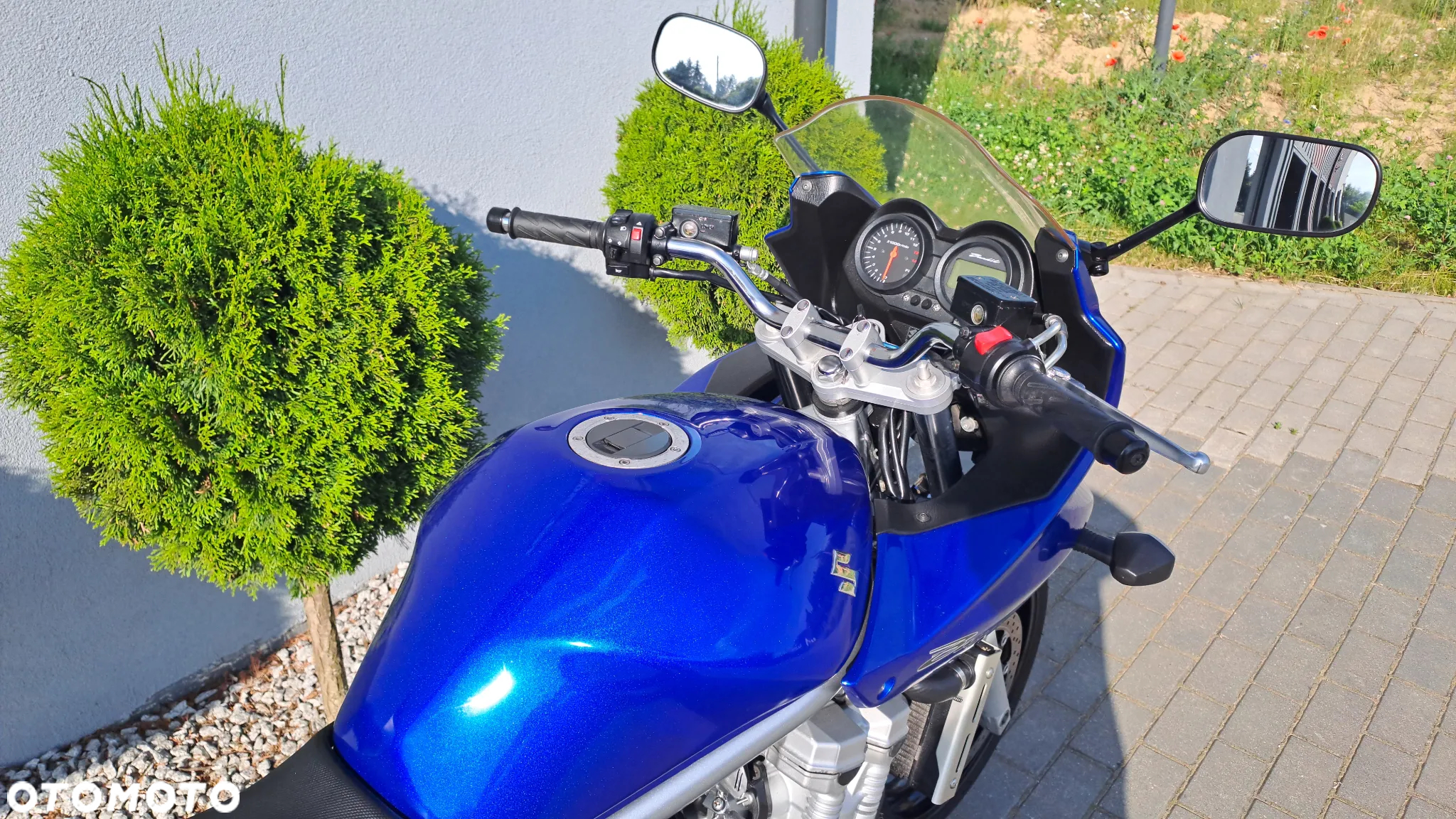 Suzuki Bandit - 19