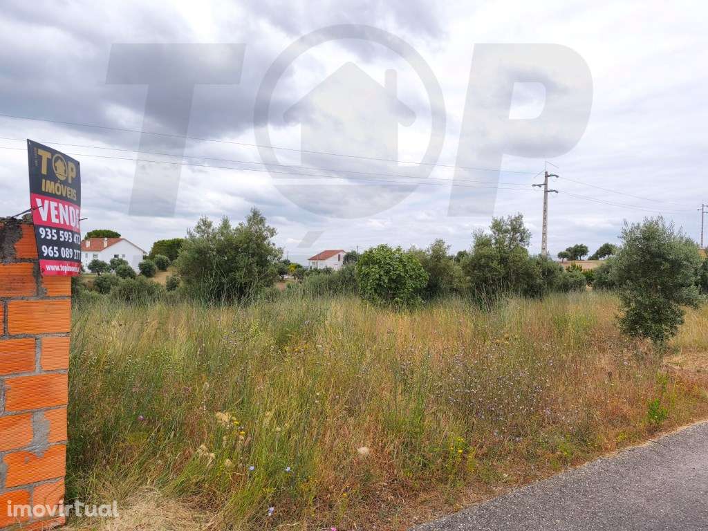 Terreno 57000 m2 com Edificação e Ruína - Tomar - 200.000€ - Grande imagem: 3/6