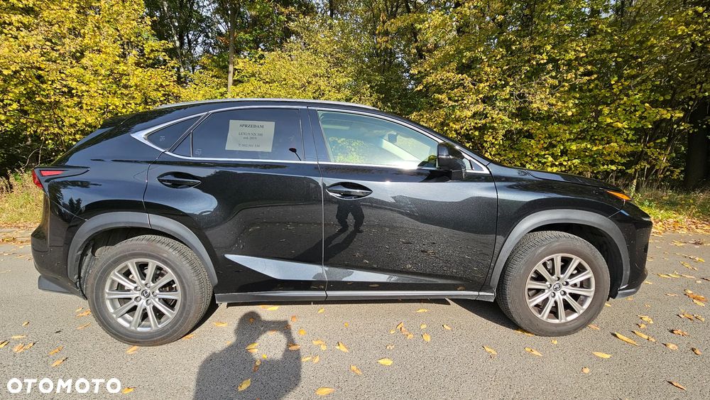 Lexus Nx 2019 photo 3