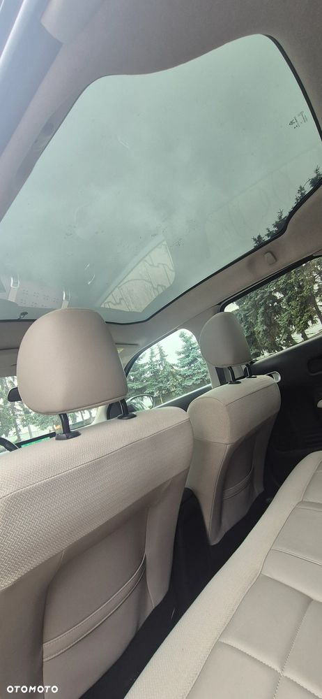 Citroën C4 Cactus 1.2 PureTech Shine S&S EAT6 - 13