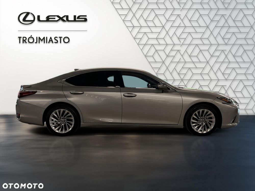 Lexus ES 300h Omotenashi - 7