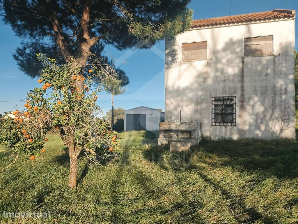 Moradia para remodelação em Samora Correia - Grande imagem: 3/26