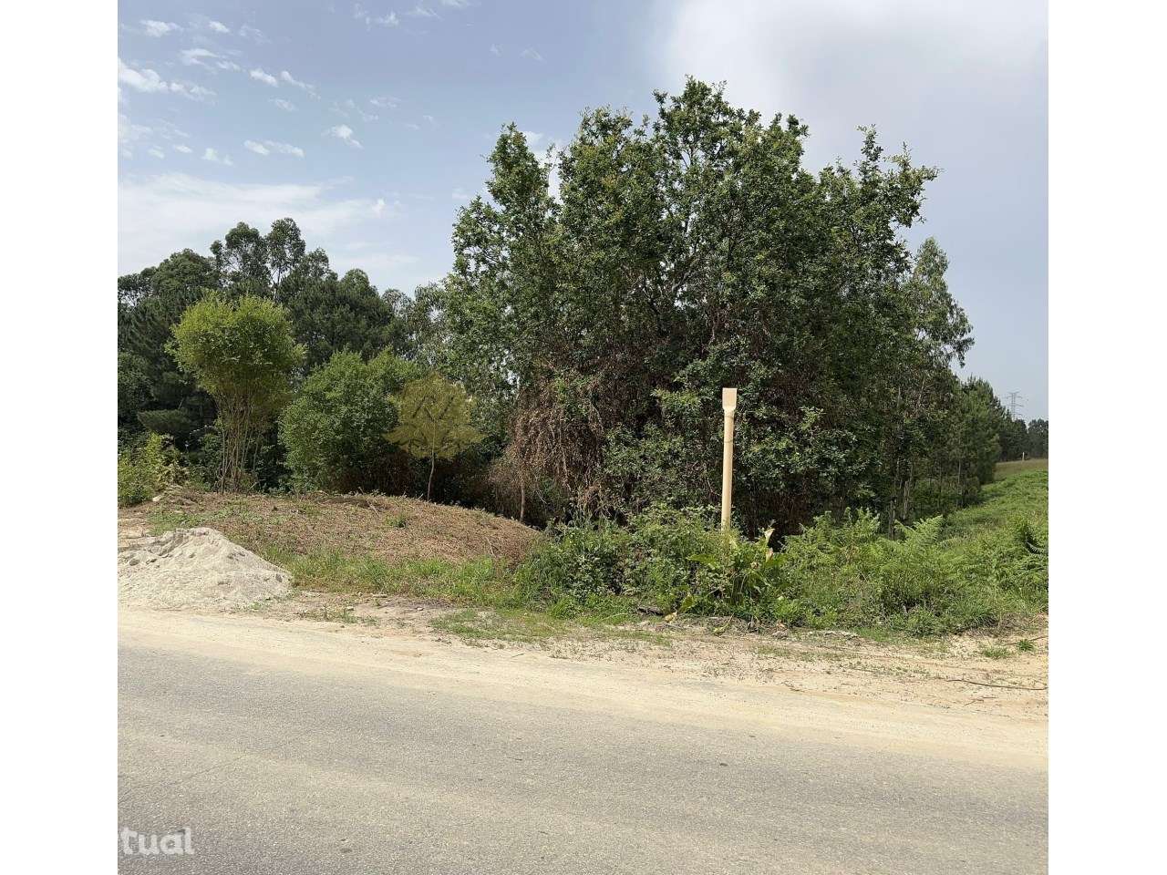 Terreno de 17800m2 - Grande imagem: 4/6