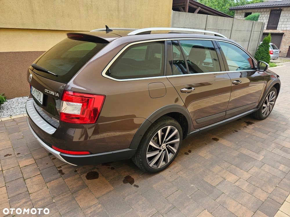 Skoda Octavia Scout 2.0 TDI 4x4 DSG - 3
