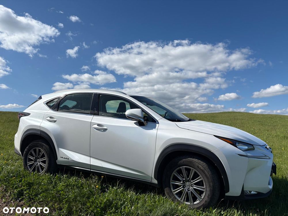 Lexus NX 300h Business Edition AWD - 1