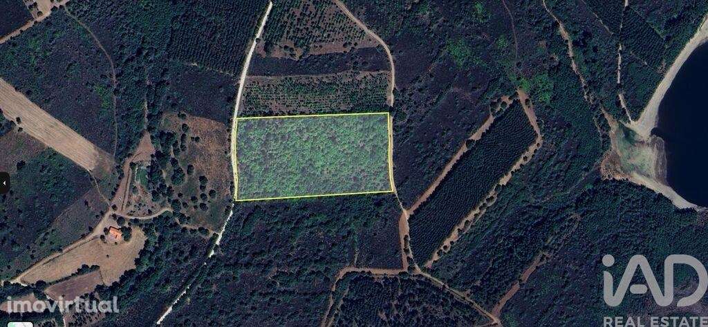 Terreno Agrícola em Sabugal e Aldeia de Santo António - Grande imagem: 2/4