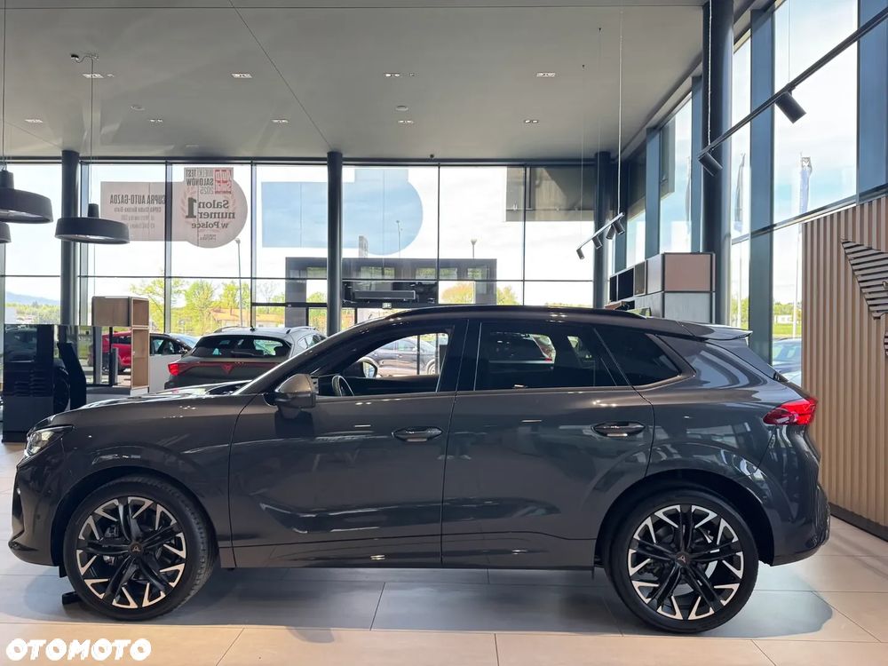 Cupra Terramar - 6