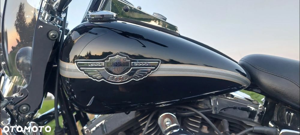 Harley-Davidson Softail - 31