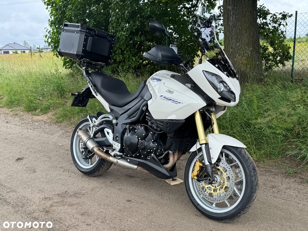 Triumph Tiger