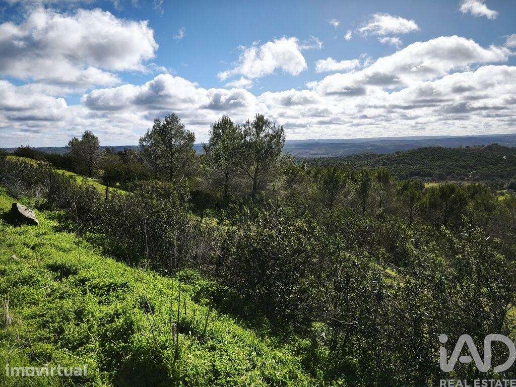 Terreno Agrícola em São Miguel do Pinheiro, São Pedro de Solis e São S - Grande imagem: 2/40