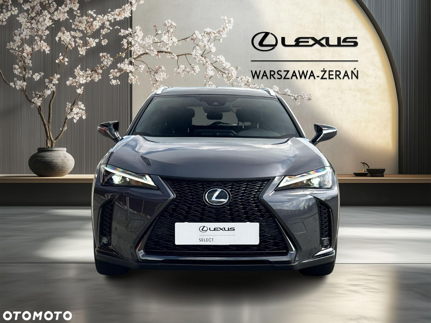 Lexus UX 250h GPF F Sport Design 2WD - 10