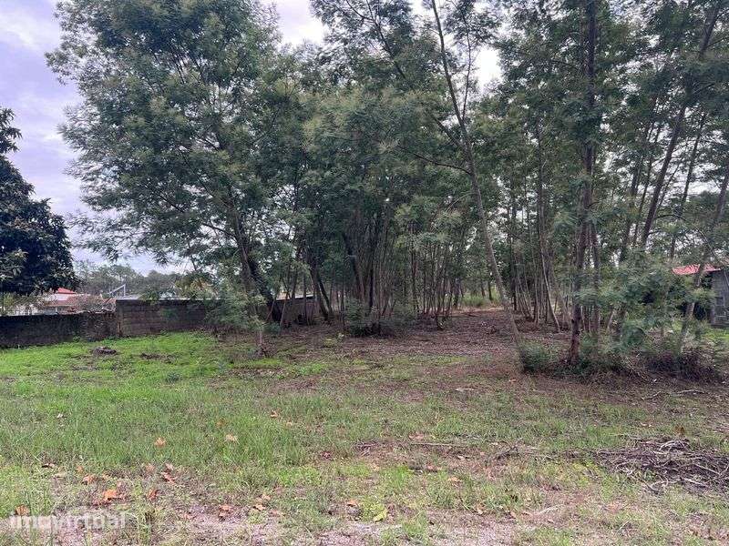 Terreno construção 6000 m² a 2 minutos de praia fluvial - Grande imagem: 3/8