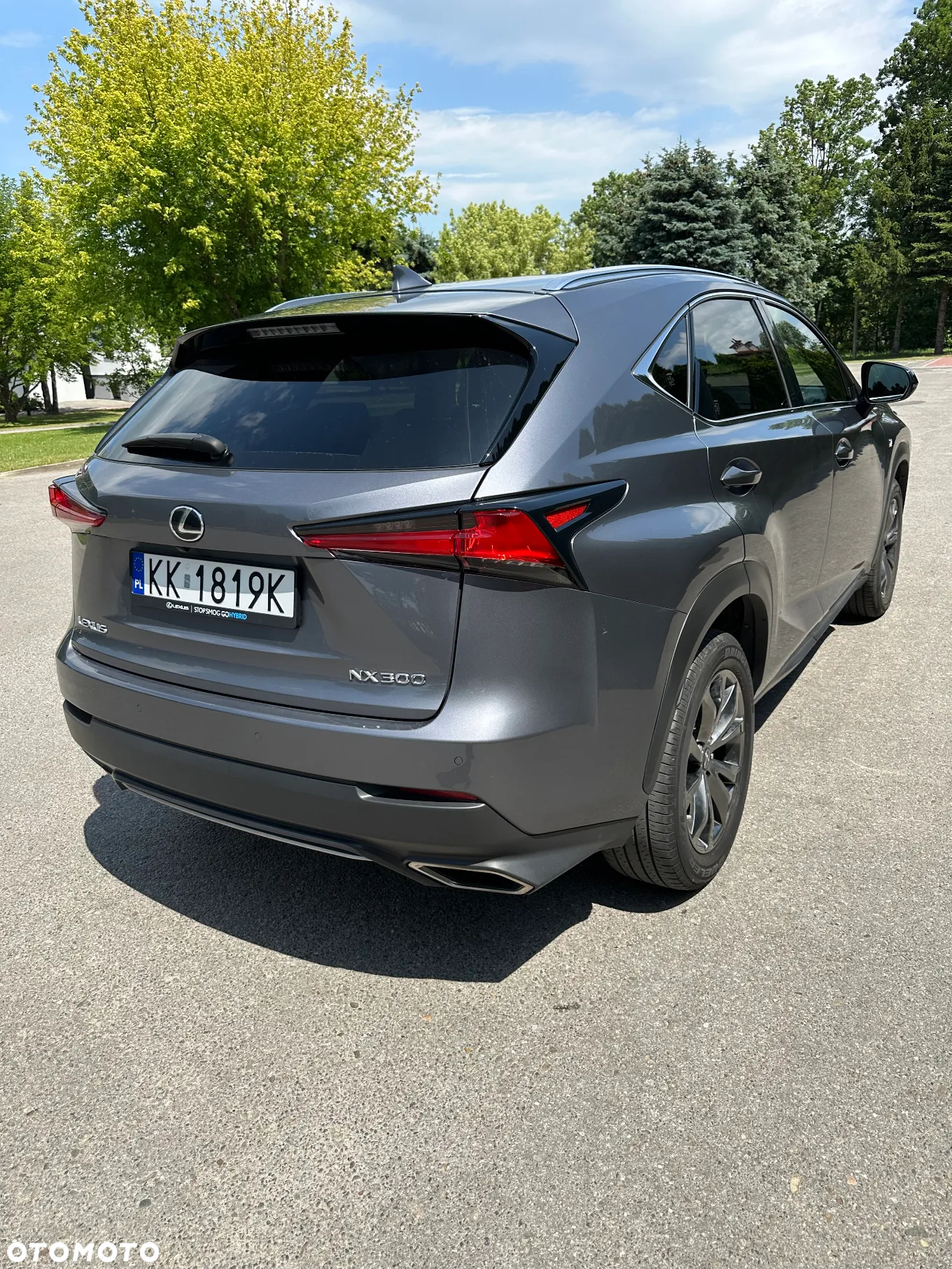 Lexus NX 300 F Sport AWD - 8