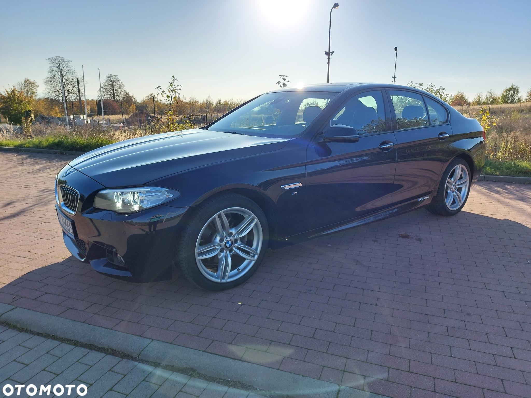 BMW Seria 5 520d M Sport - 13