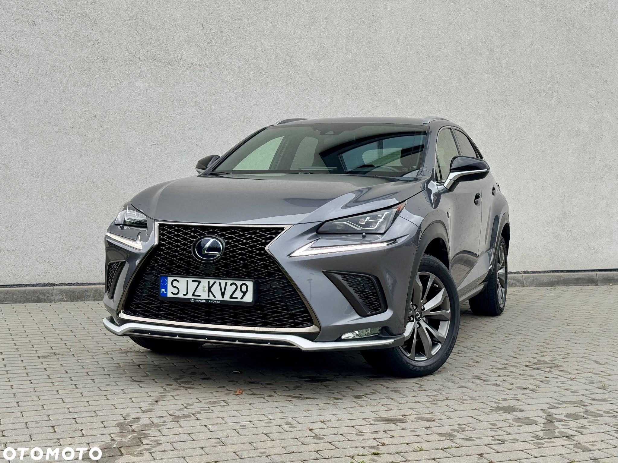 Lexus NX 300h F Sport Edition AWD - 2
