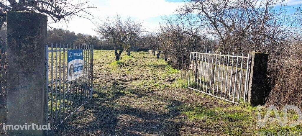 Terreno Agrícola em Três Povos - Grande imagem: 5/18