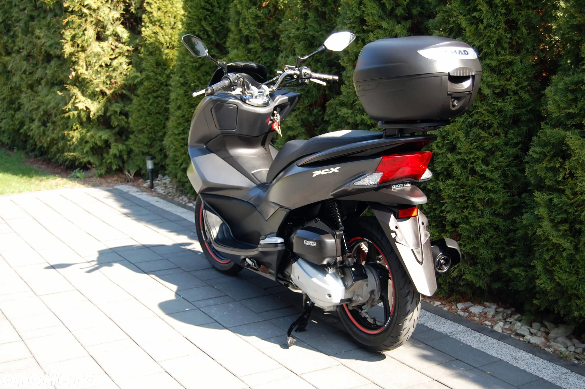 Honda PCX - 6