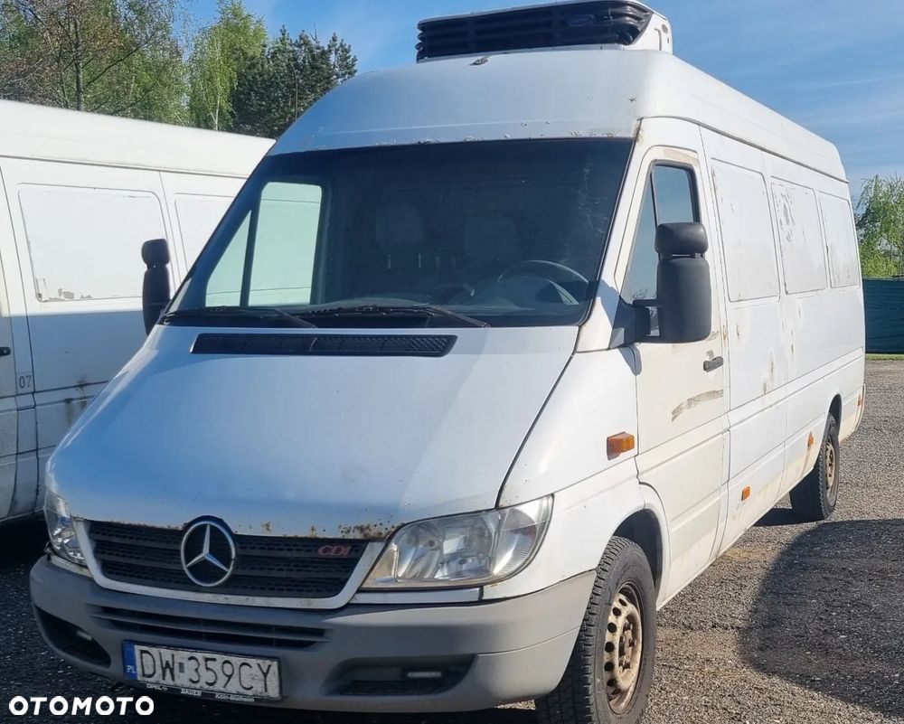 Mercedes-Benz Sprinter Chłodnia 313 CDI - 3