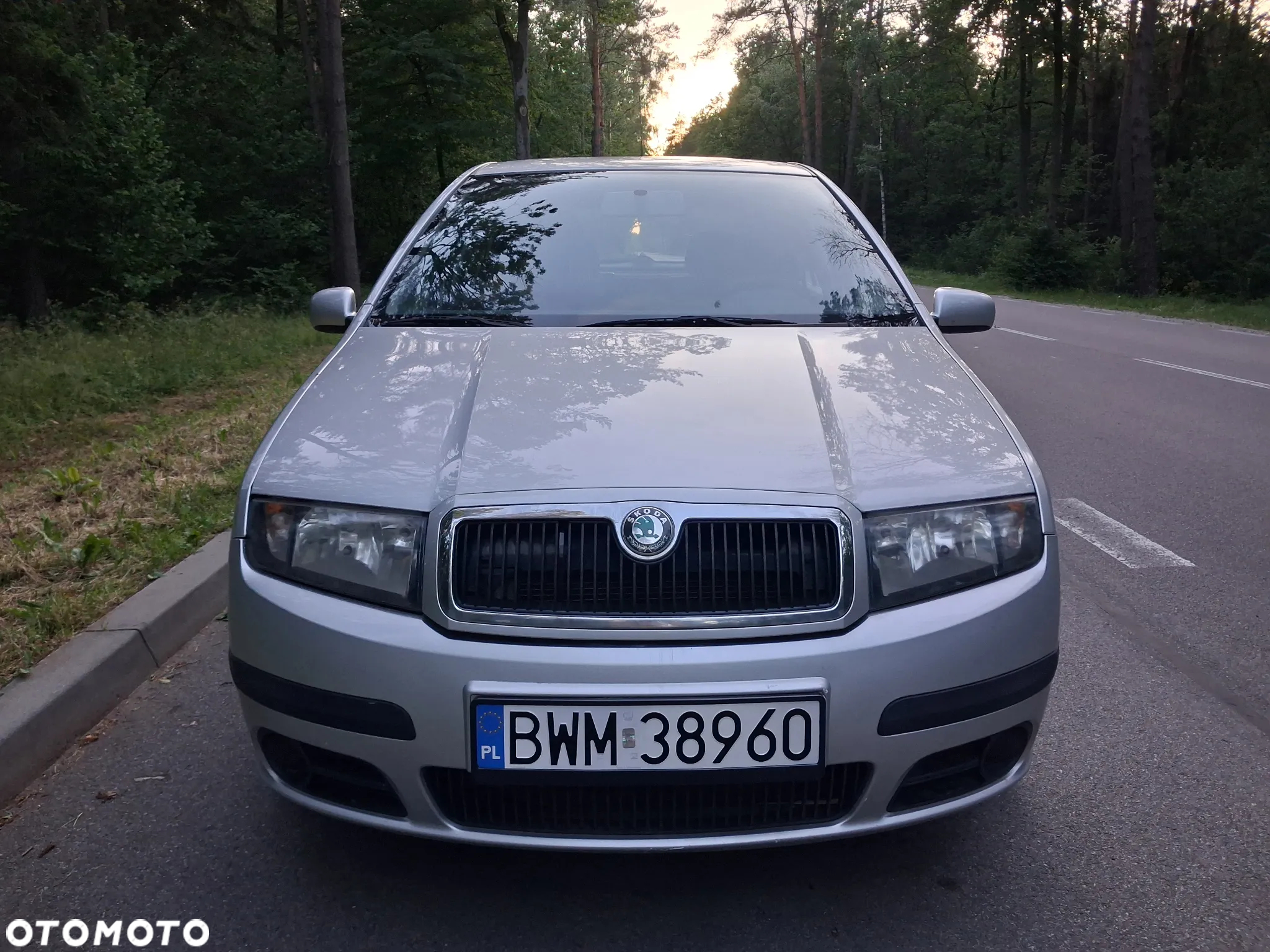 Skoda Fabia - 7