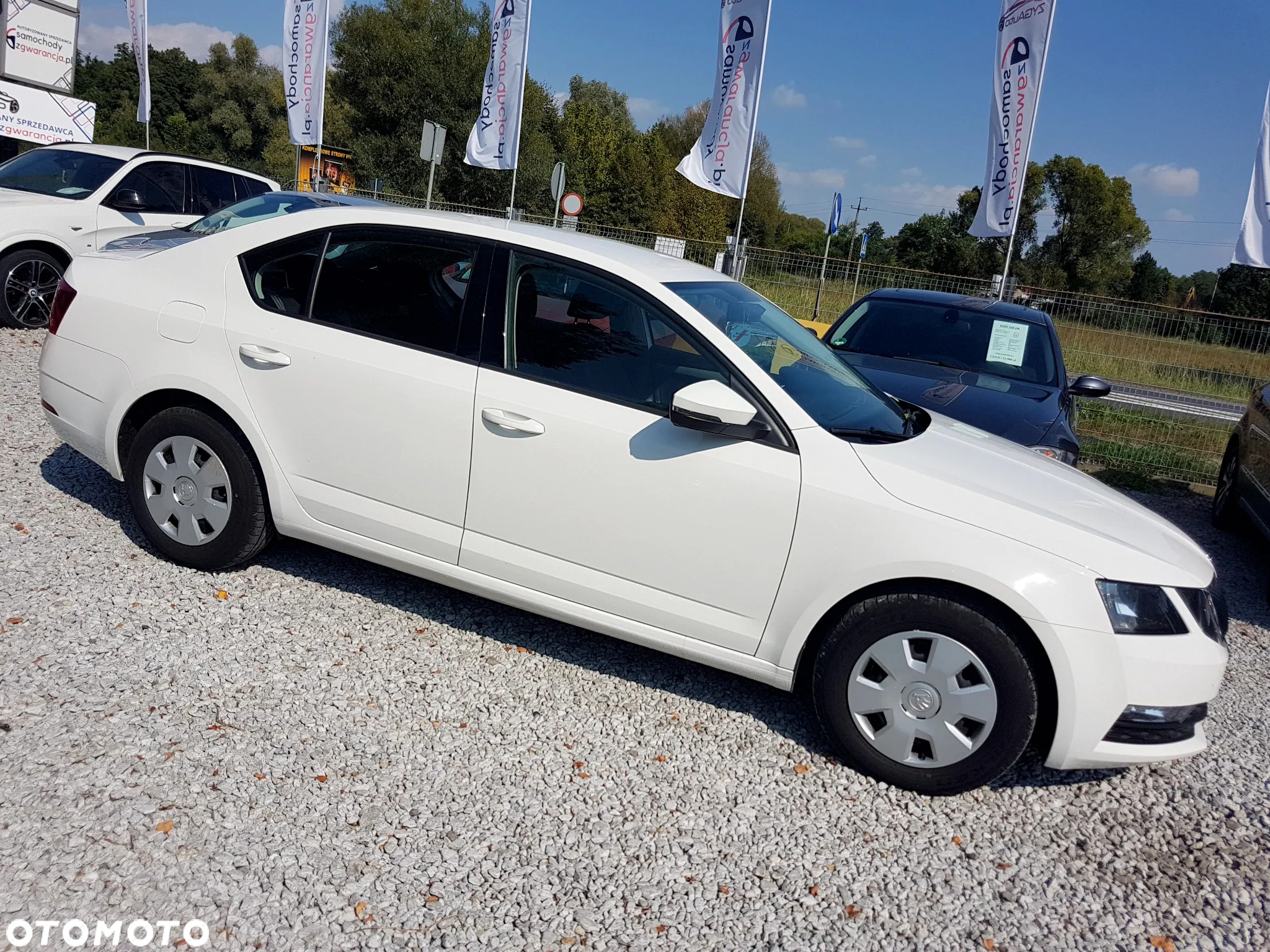 Skoda Octavia 1.6 TDI Active - 4