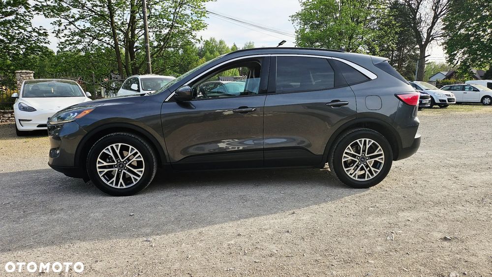 Ford Kuga 1.5 EcoBoost 4WD Titanium Plus - 14