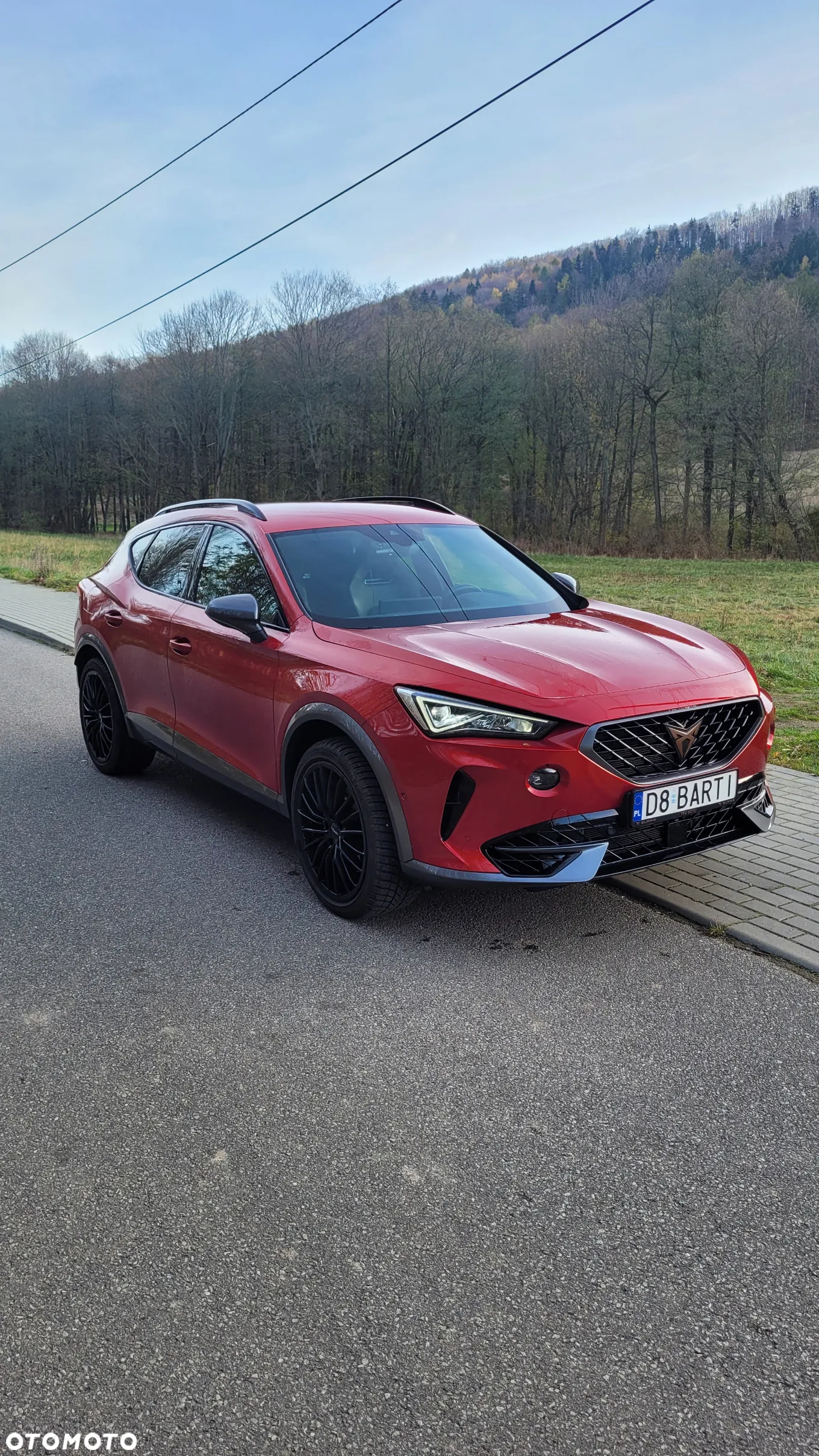Cupra Formentor 2.0 TSI 4Drive VZ DSG - 17