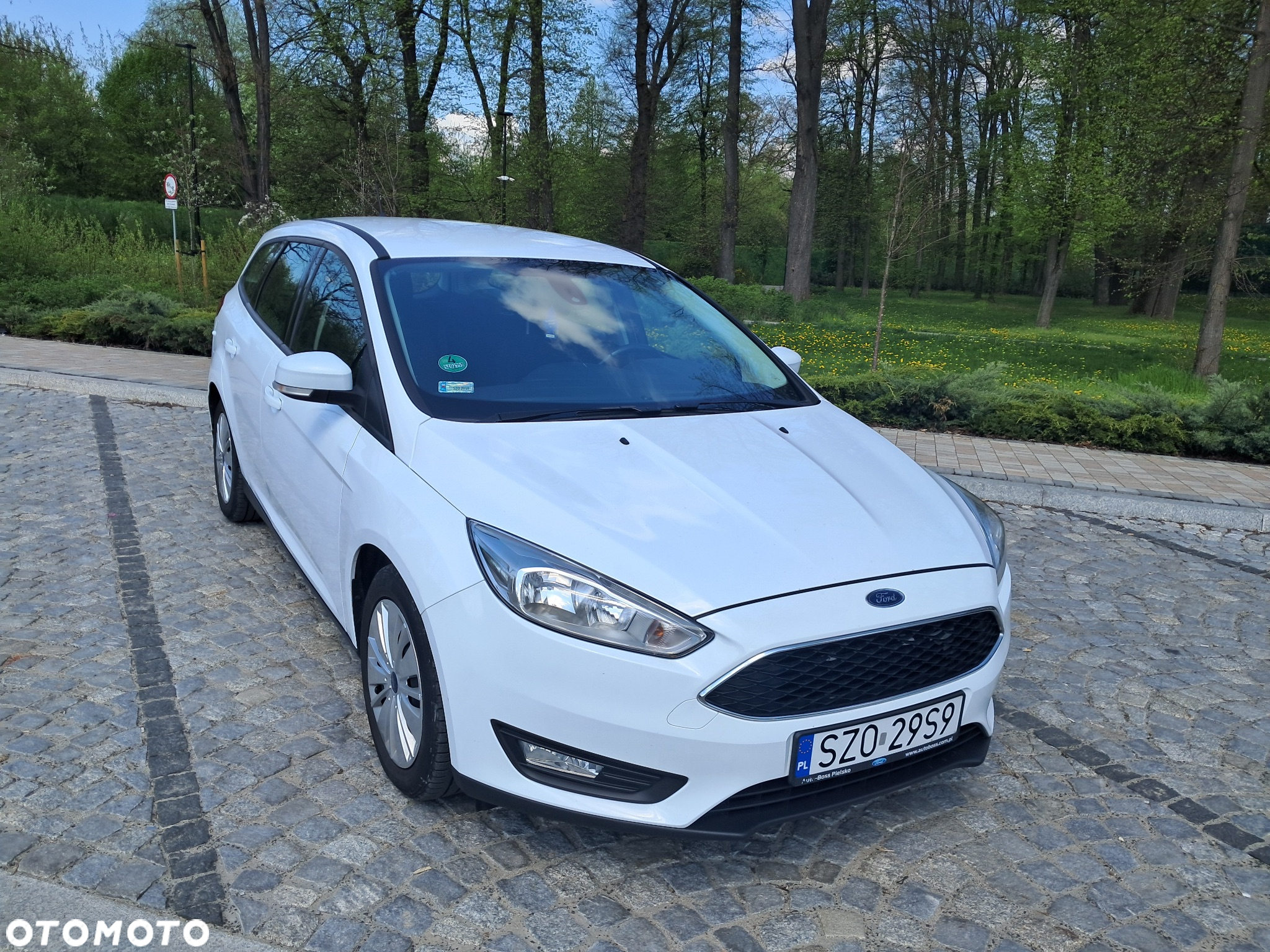 Ford Focus - 3