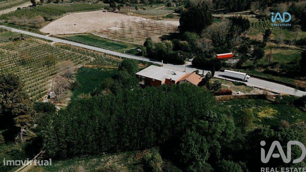 Restaurante T10 em Sever de 1053,00 m2 - Grande imagem: 5/30