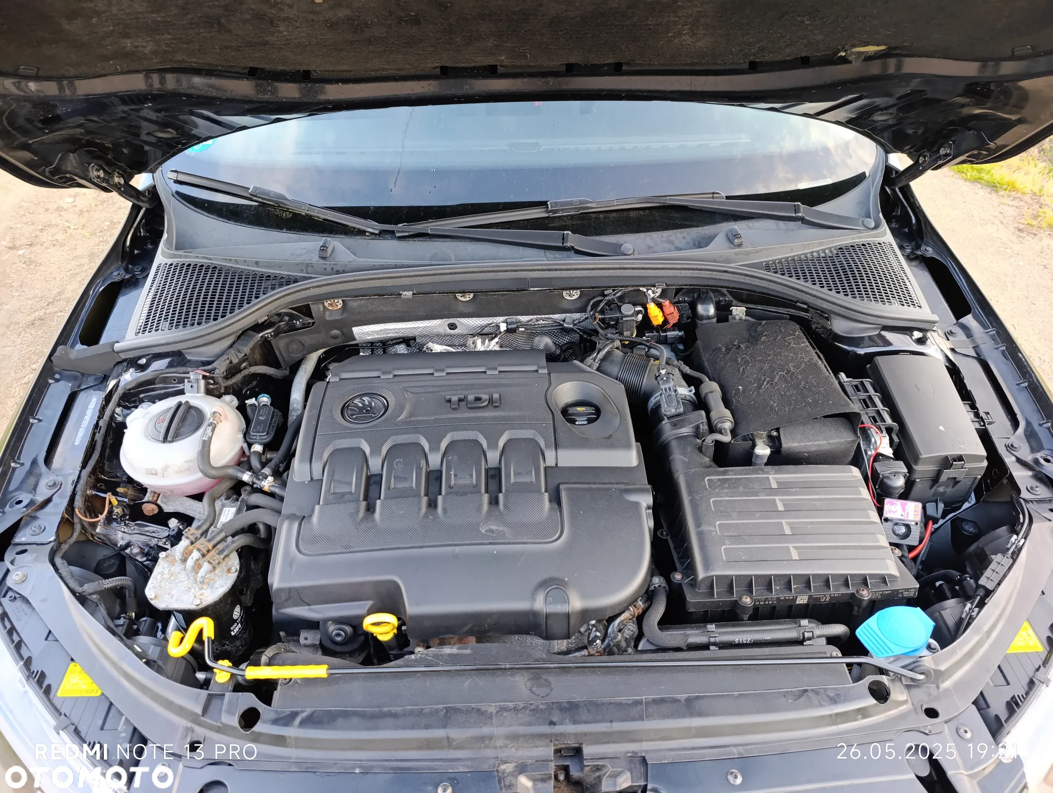 Skoda Octavia 1.6 TDI Ambiente - 25